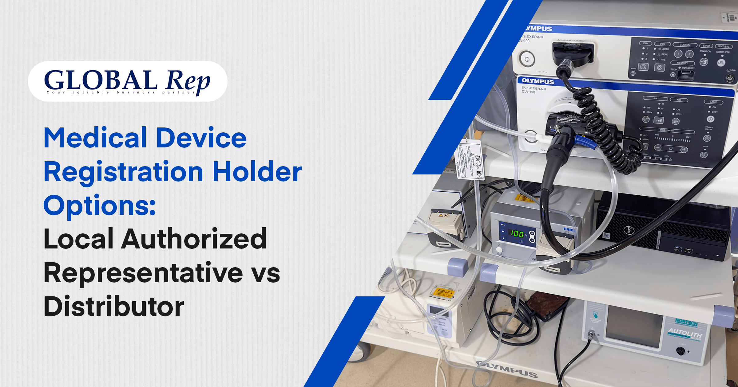 There are two medical device registration holder options such as local authorized representative and distributor
