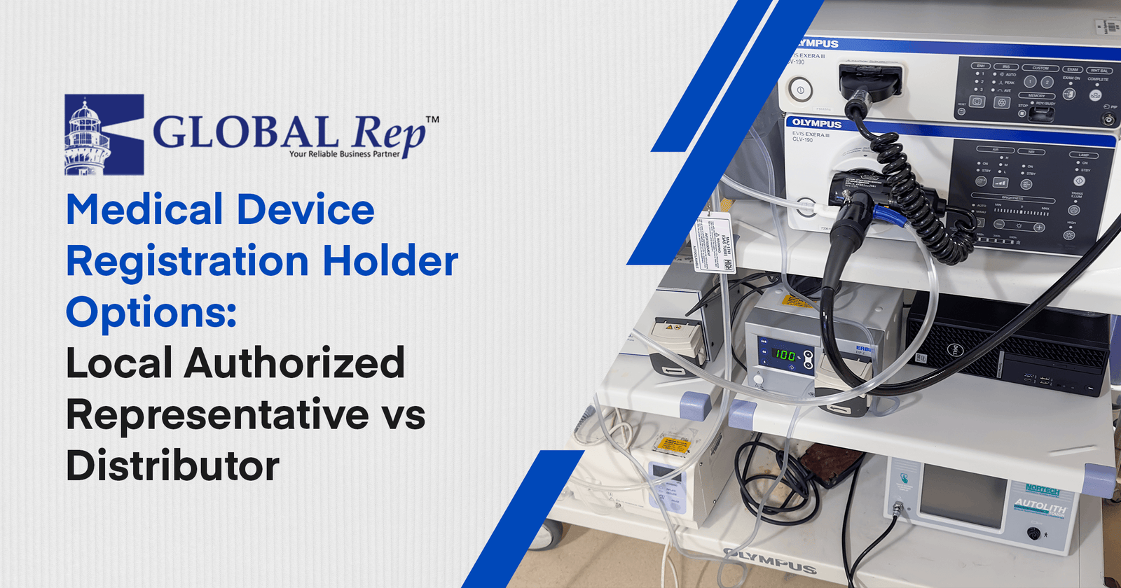 There are two medical device registration holder options such as local authorized representative and distributor